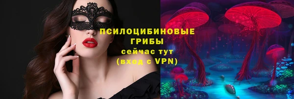 стафф Алзамай